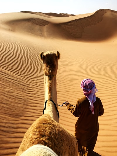 走在骆驼旁边的人